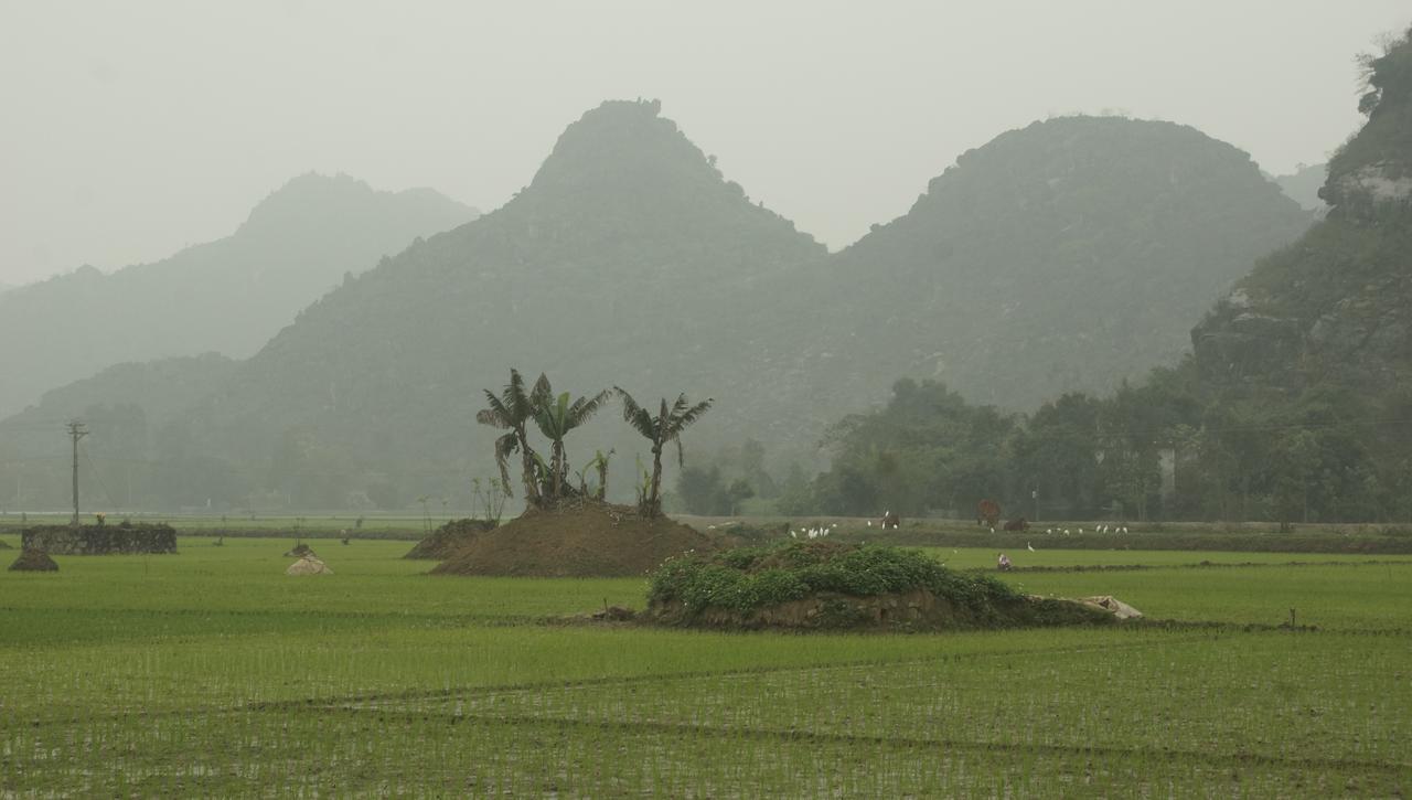 Mai'S Homestay Trang An Ninh Binh Esterno foto